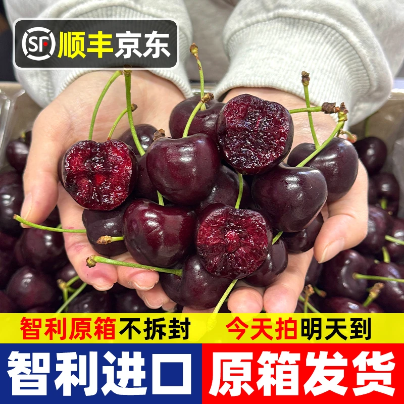 3JD特大果【五斤原箱•明天到】智利进口车厘子宝宝孕妇水果内附果径卡2500g海运 TY桑提娜樱桃智利共和国