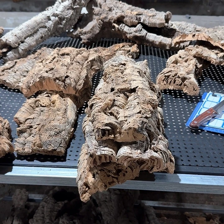 搬***砖完全开放一物一拍一物一发