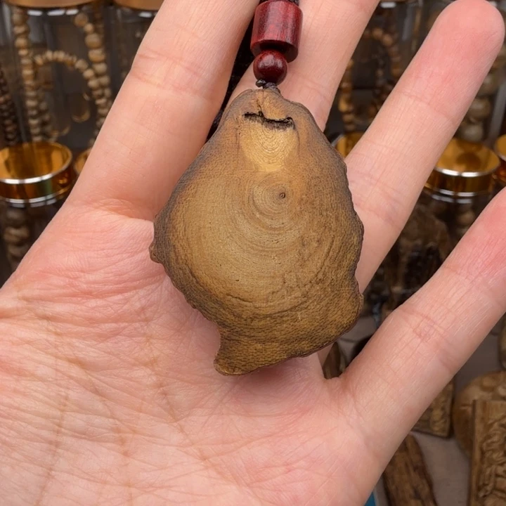 沉香碎屑沉香天*达拉干沉香随型7.6克