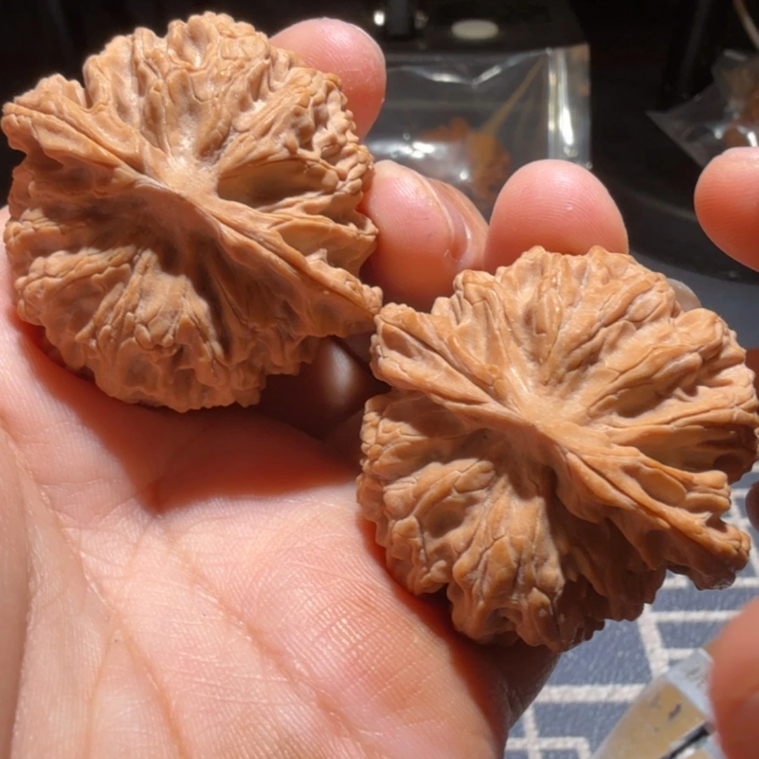 猴头核桃把件苹果园