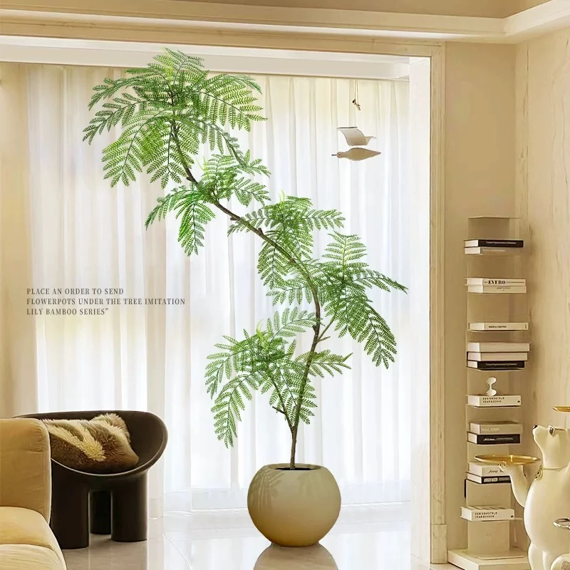 蓝花楹 室内网红造型绿植 中式氛围感绿植