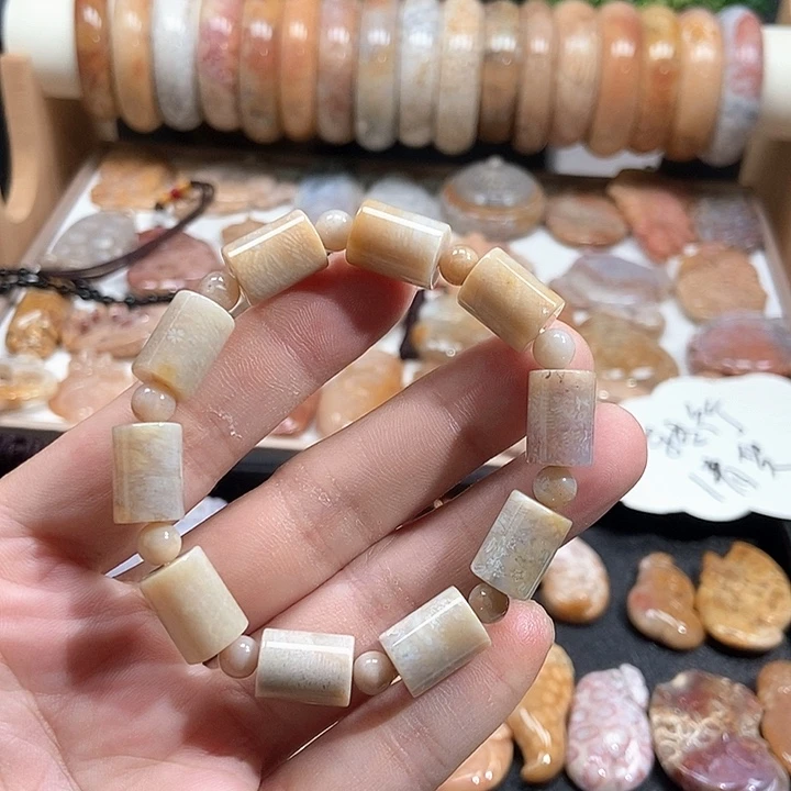 颈饰未镶嵌硅化珊瑚（珊瑚玉）
