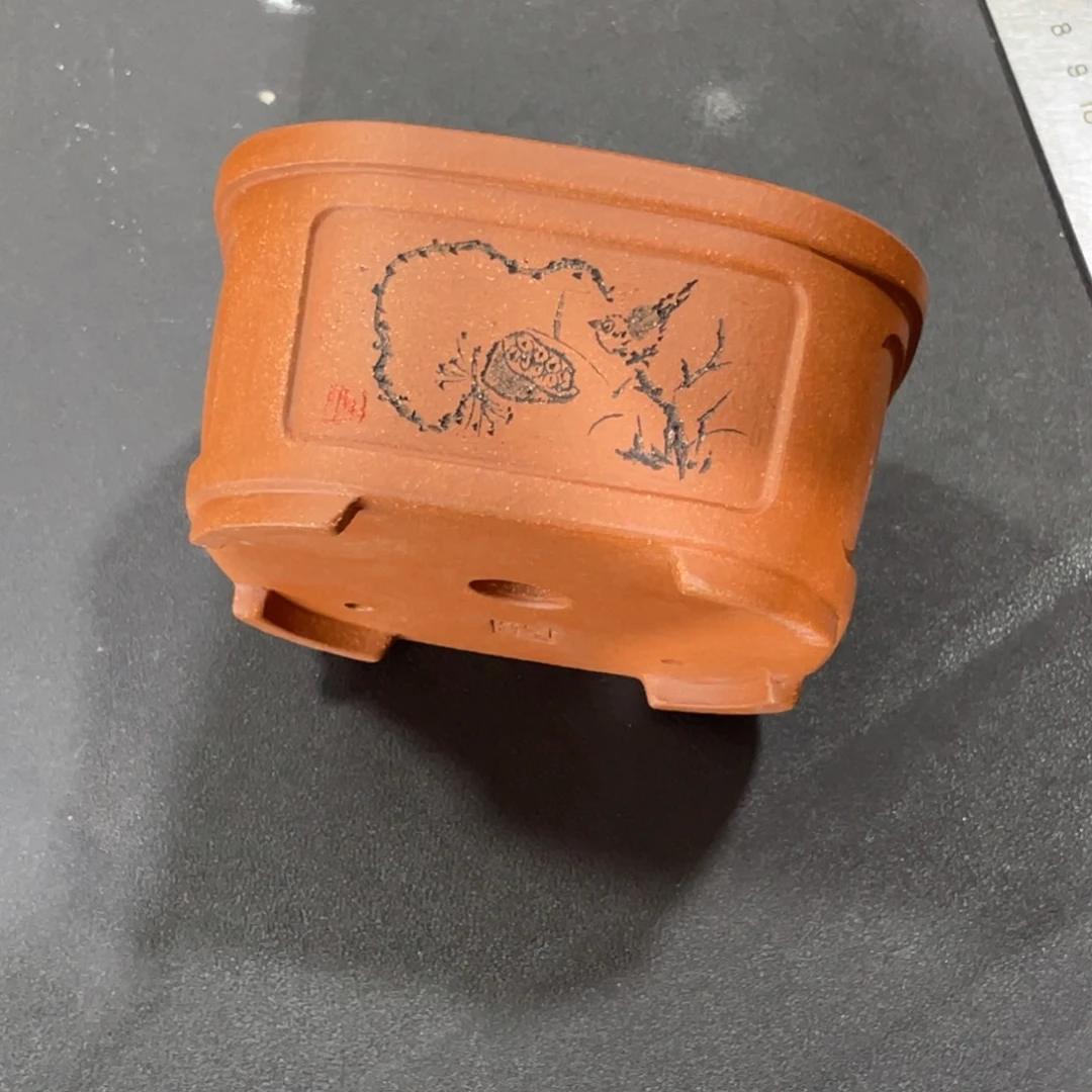 花盆紫砂这就是为什么