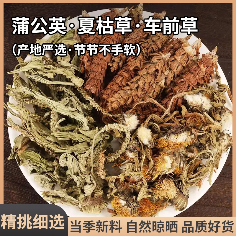 夏枯草车前草蒲公英纯天然新鲜干货正宗山货泡水泡茶煮鸡蛋