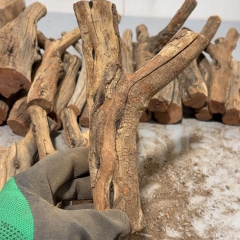 大果紫檀（缅甸花梨）曾***诺