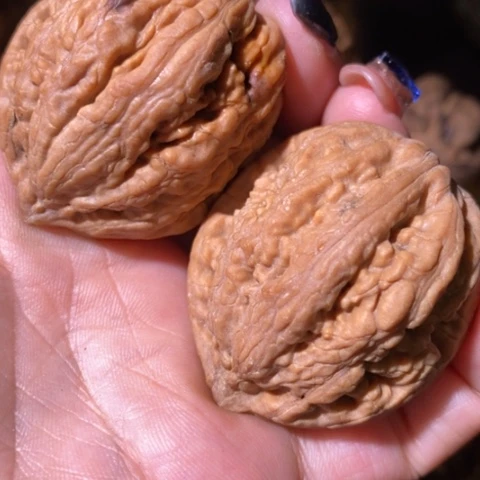 把件文玩核桃风**头东北野生楸子小美50彩