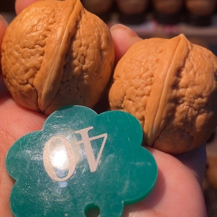 16号链接金龟子33尺寸