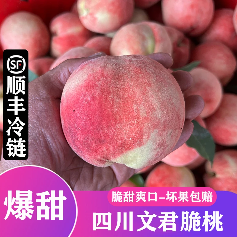 【顺丰冷链-坏果包赔】正宗四川新鲜脆甜文君脆桃子水蜜桃水果