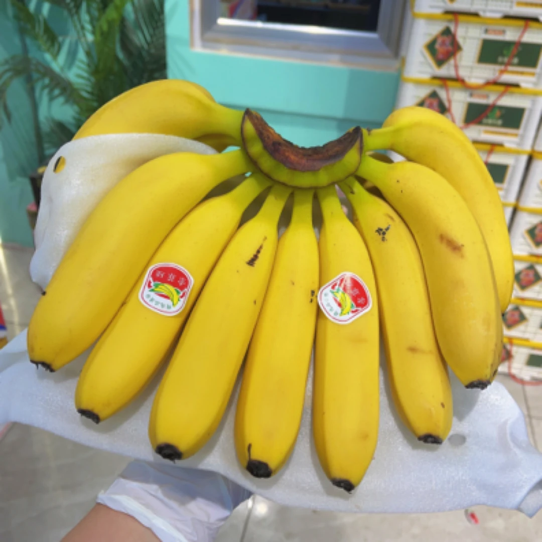 越南进口索菲娅香蕉