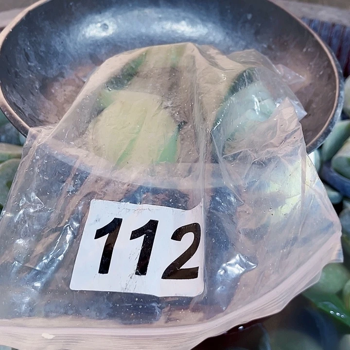 蛇纹石玉未镶嵌珠宝半成品