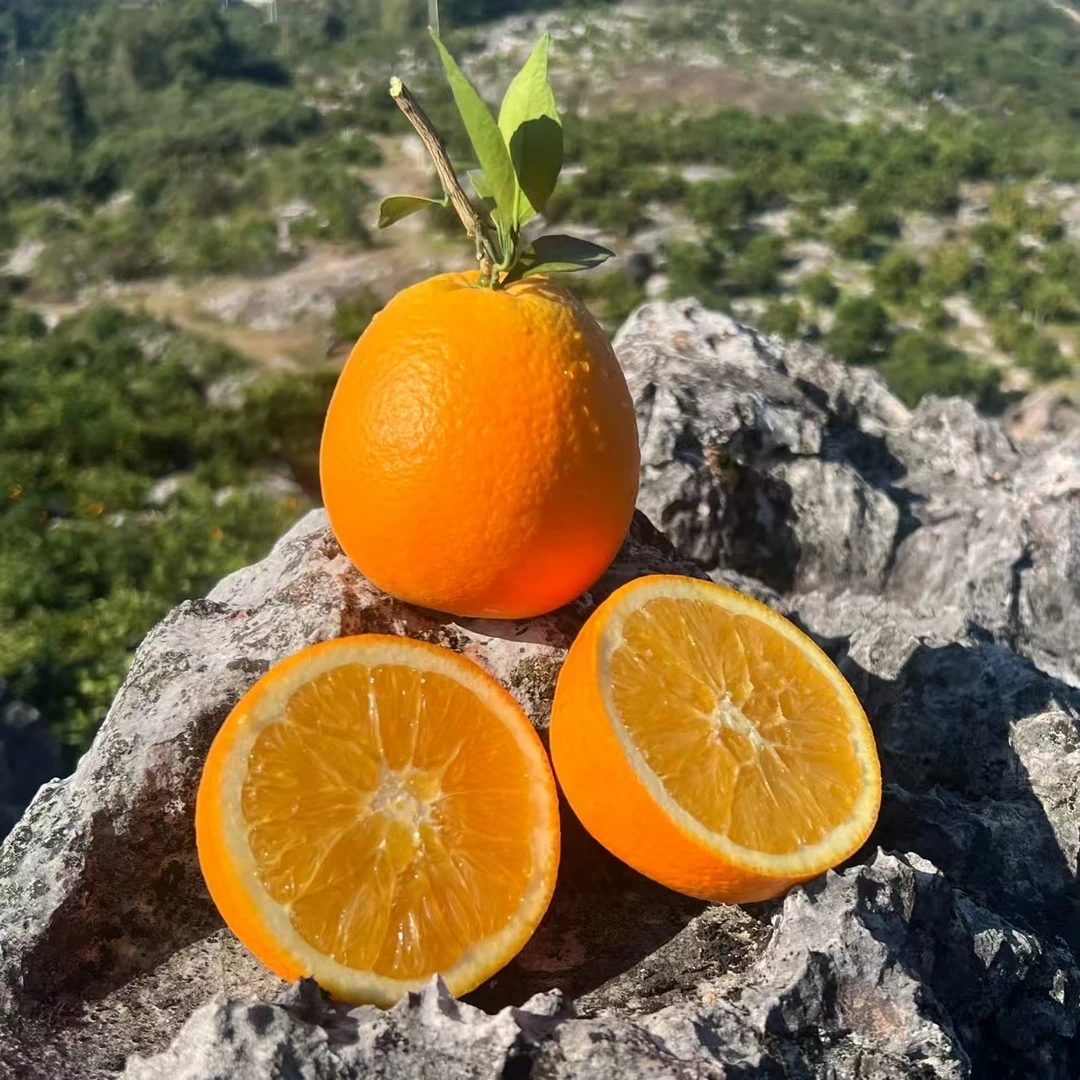 湖南溆浦纽荷尔脐橙 脆甜多汁原味现摘爆汁脐橙