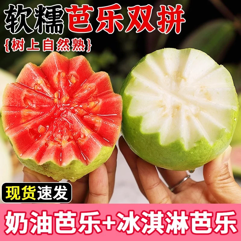 顺丰包邮红心软芭乐酸甜新鲜水果番石榴奶油红白奶油软芭乐混装