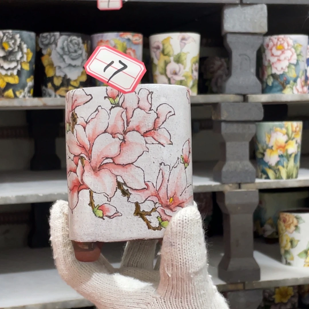 红陶①**児8888888888