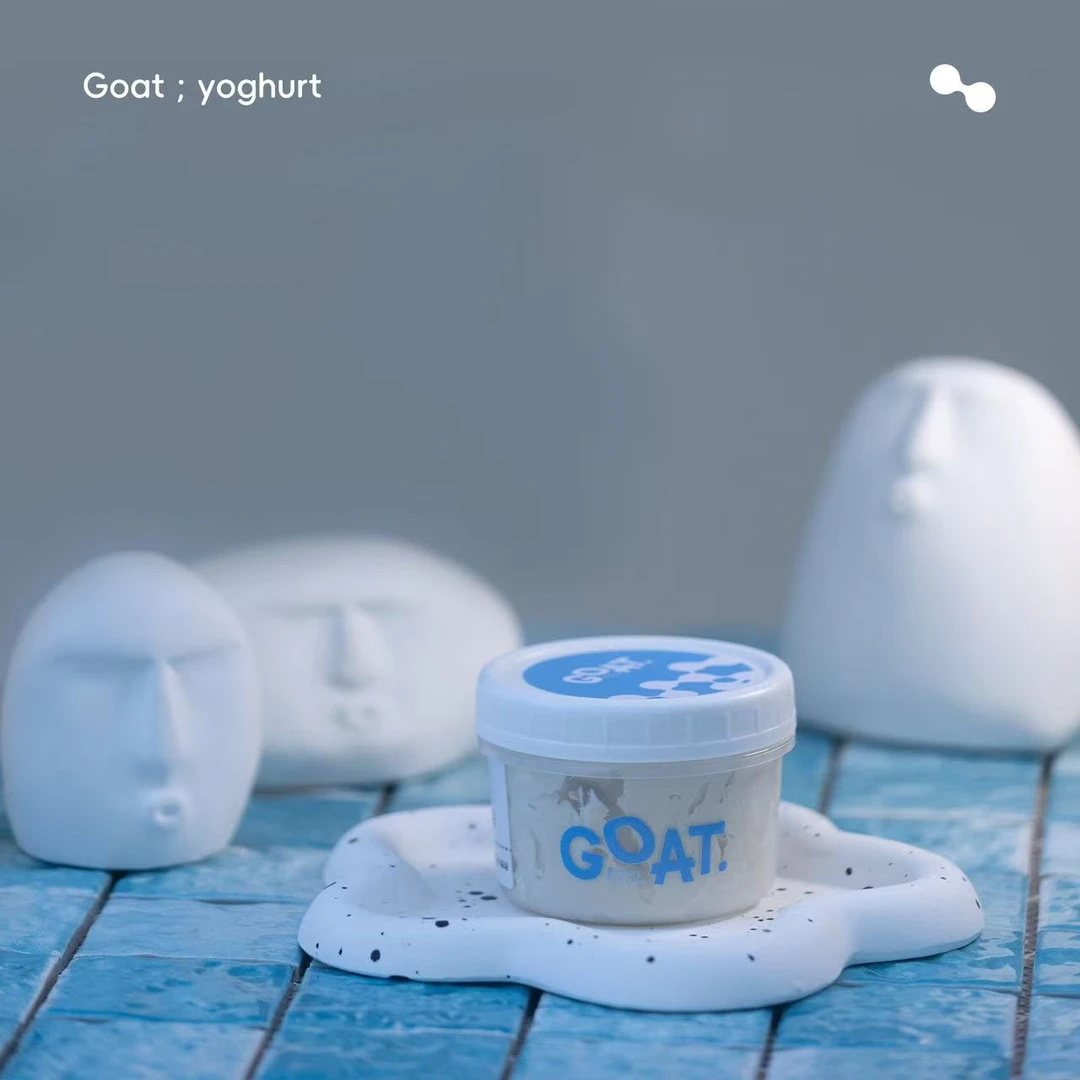 Goat干巴干嚼干噎希腊冷萃酸奶健身减脂代餐晚上必备充饥食品