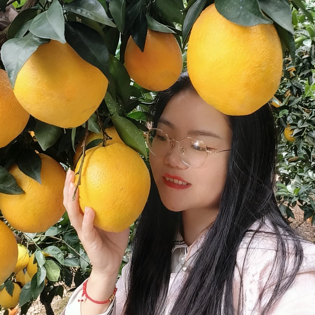 正宗江西赣南脐橙信丰脐橙当季新鲜水果果园现摘现发九省包邮