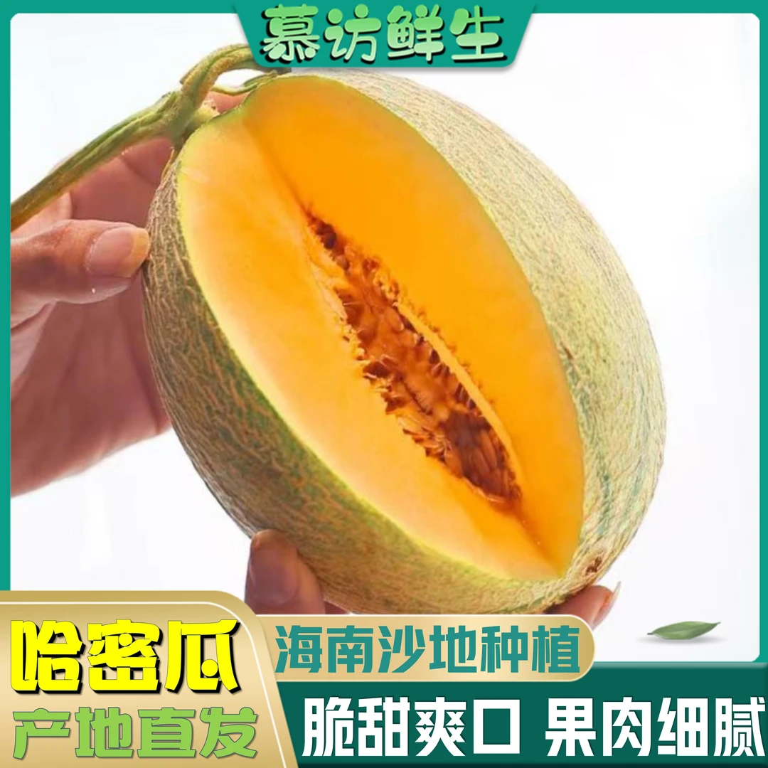 海南新鲜应季哈密瓜脆甜多汁现摘甜瓜