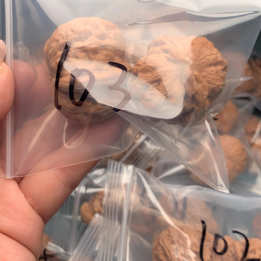 文玩核桃把件@**@元宝103