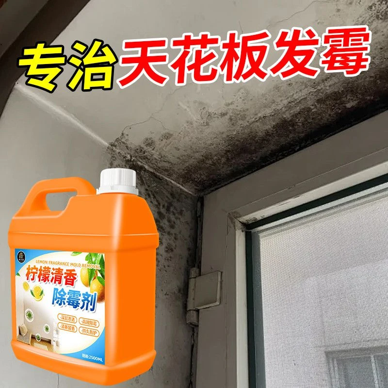 回南天墙壁发霉除霉剂去霉斑霉菌墙体上家用墙布衣物天花板神器