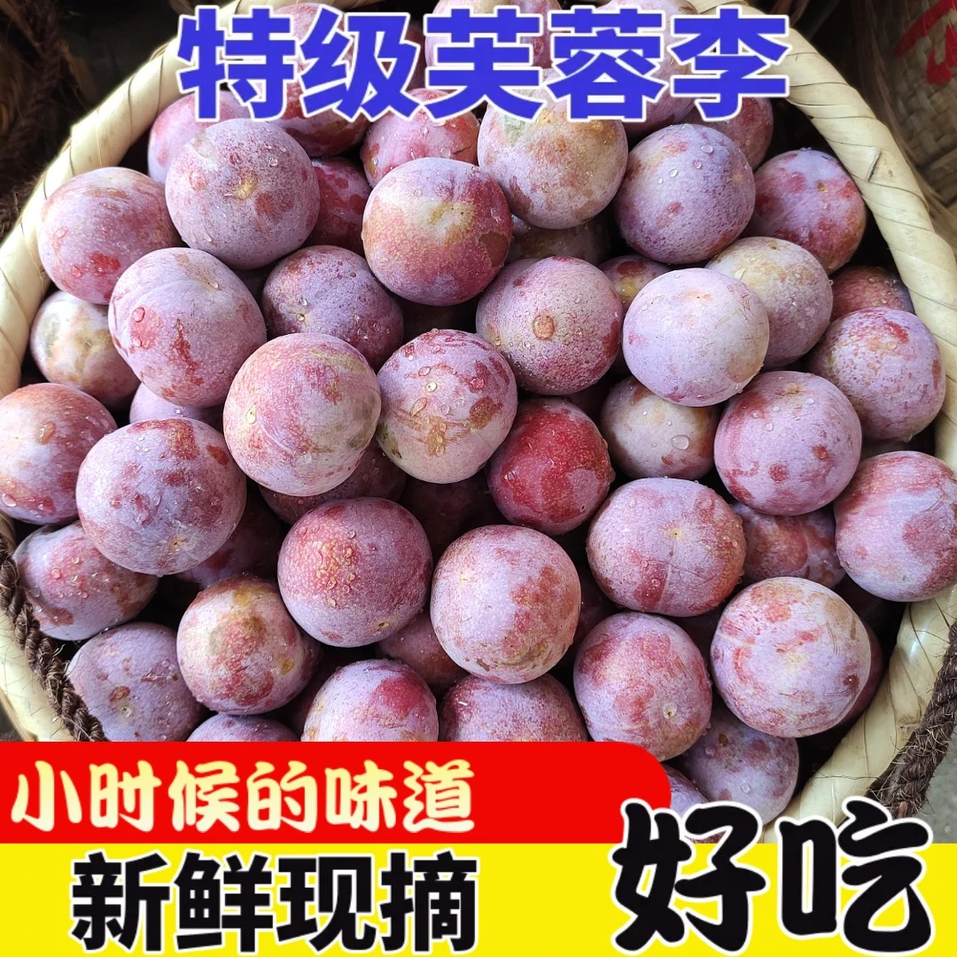 【顺丰冷链专线】芙蓉李红心李新鲜现摘福建三华李半边红孕妇水果