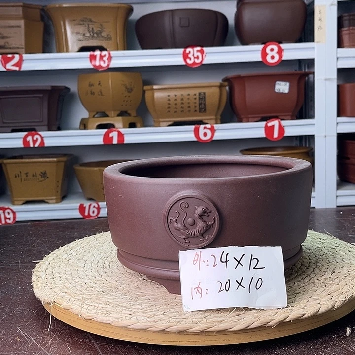 花盆紫砂你在一起