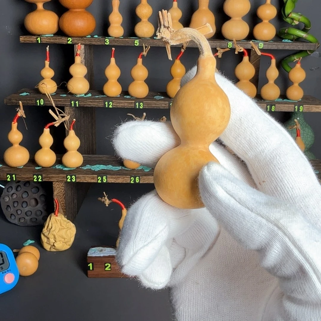 白*葫芦葫芦葫芦葫芦葫芦葫芦葫芦