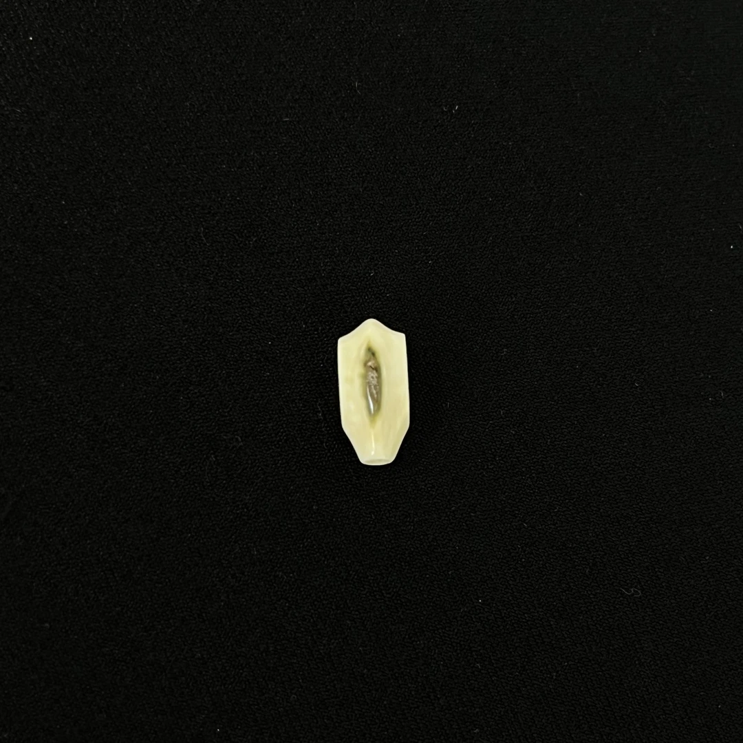 PT495蓝眼三通 尺寸约17*8*7mm只做天然猛犸牙