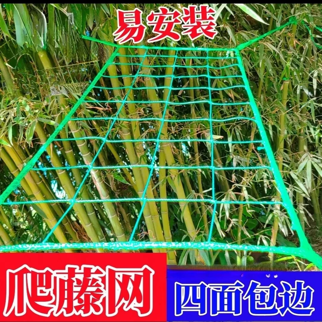园艺爬藤网百香果葡萄植物攀爬瓜果藤蔓花卉农用网豆角瓜果搭架网