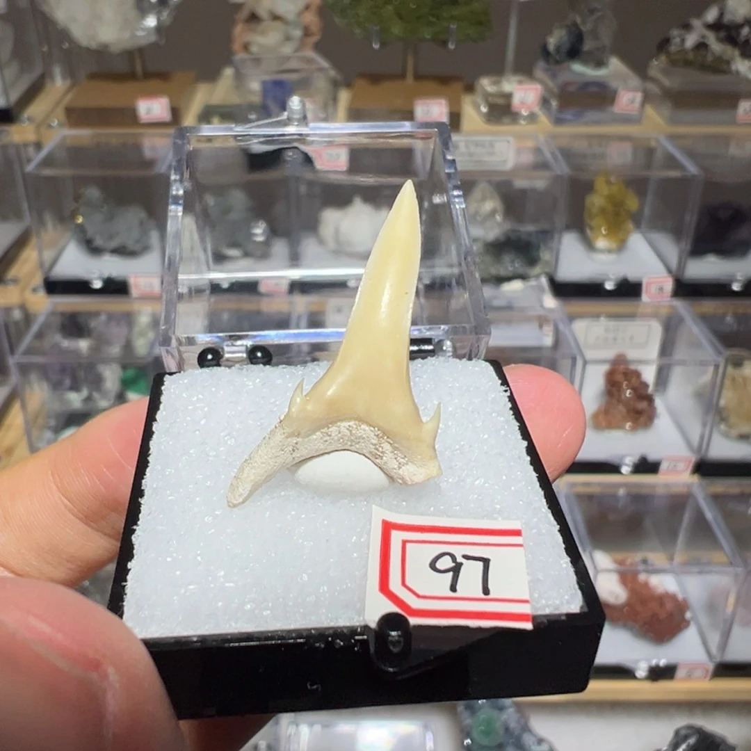 银S925镶嵌紫晶大型摆件（非配饰）