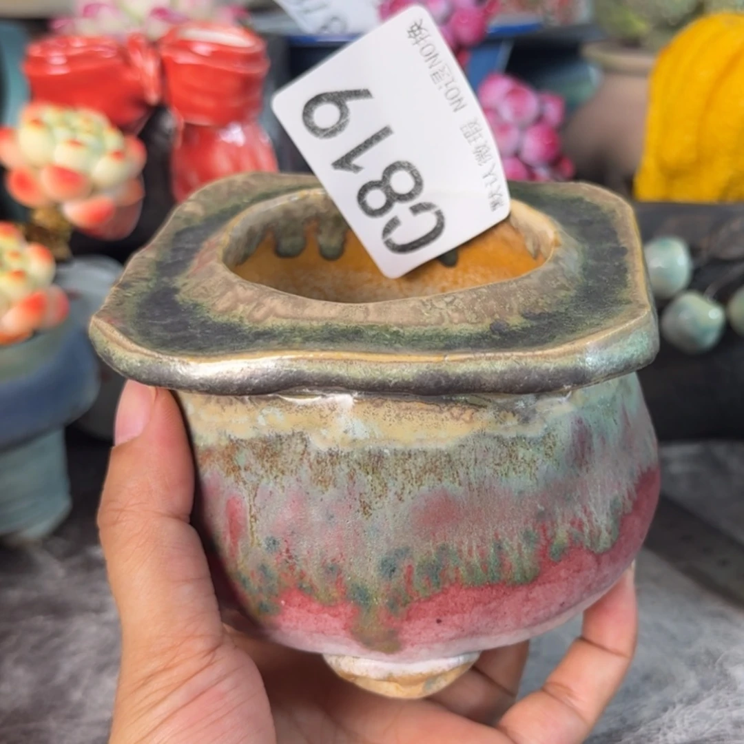重庆小燕子欢迎大家819