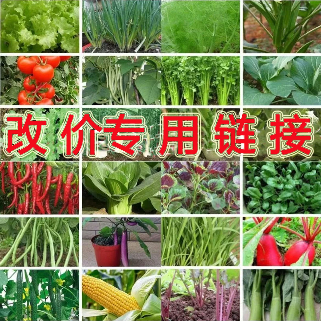 【直播间改价】信阳特产    农家散养