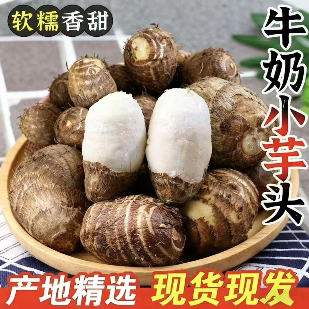 正宗山东牛奶小芋头现挖现发农家自种软糯香芋精品芋仔五斤包邮