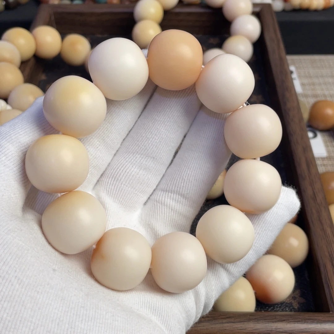 菩提根/象牙果吊坠恕*