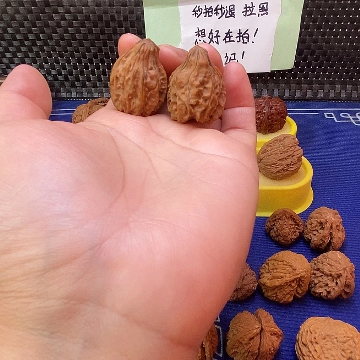 异形福利价福利多多