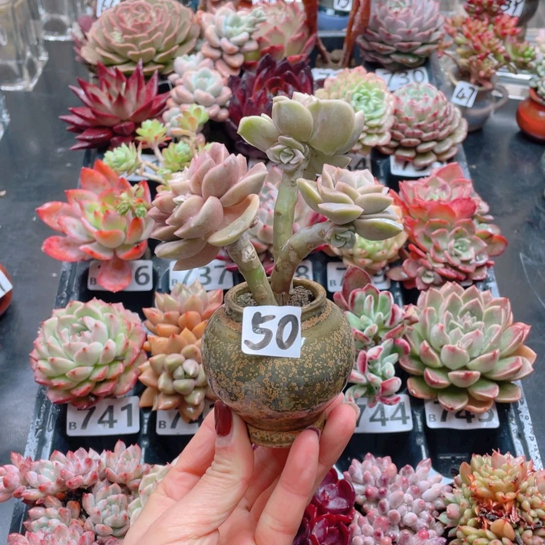 无铅玻璃云****?花器好玩好玩花器花器