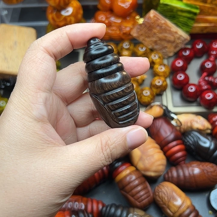 黑色蚕蛹11111111111