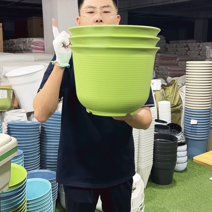特价矮陶口30高21果绿3只无托
