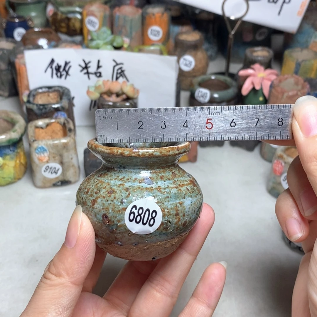 拍5送一个小礼物