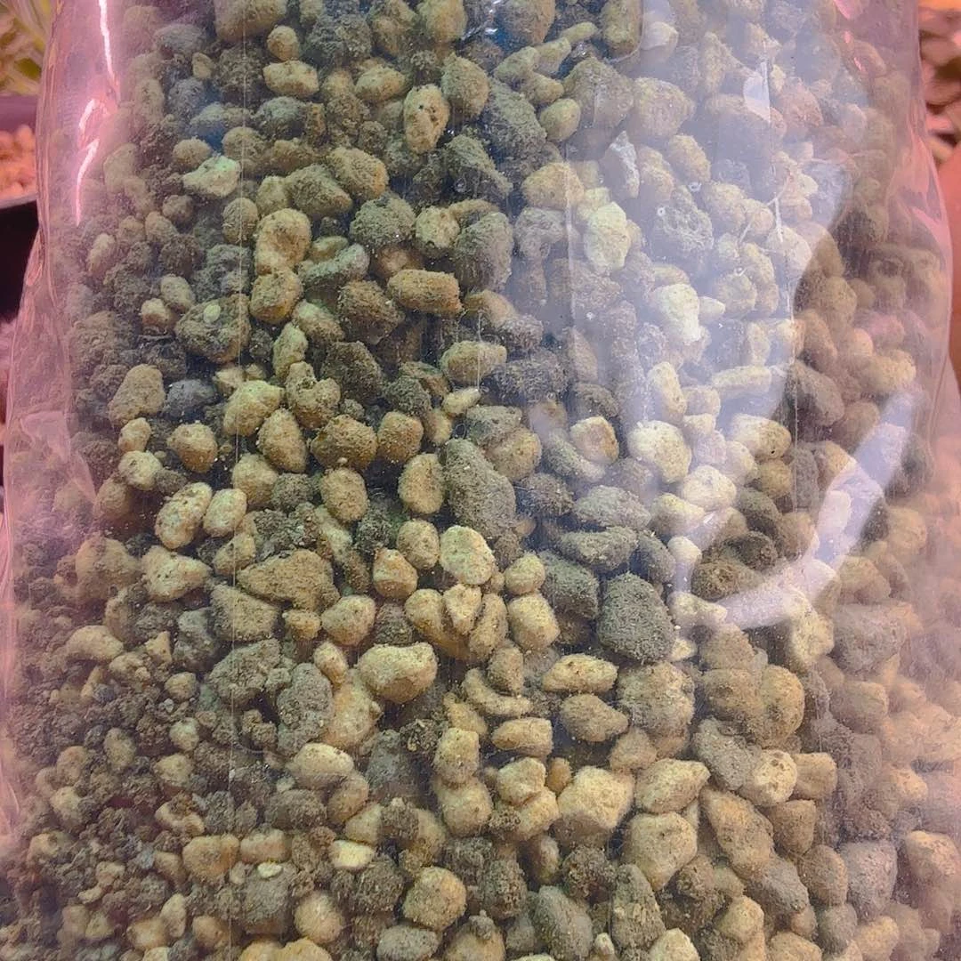鬼子进口纯软质颗粒土多肉植物