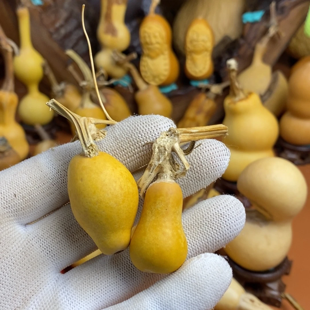 佛***人距离教练咯教练咯教练