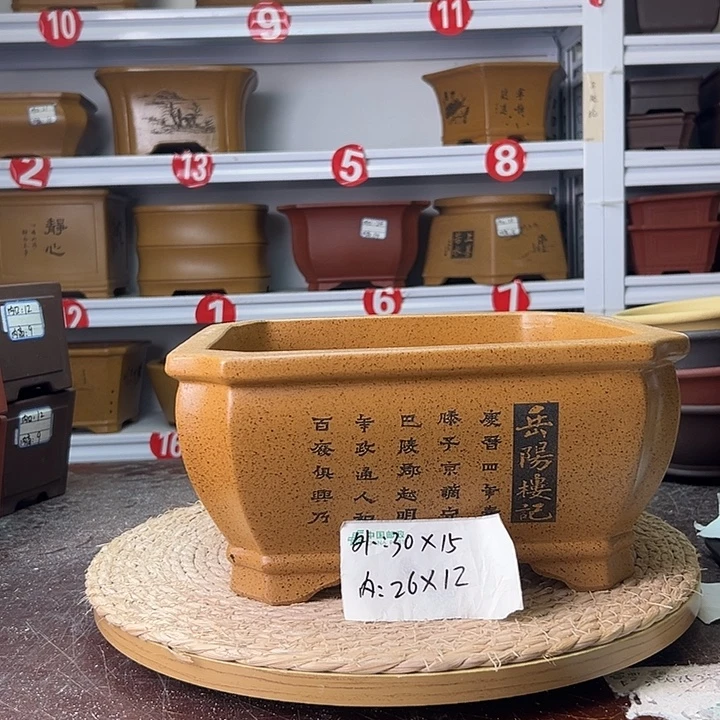 紫砂花盆蛇年大吉