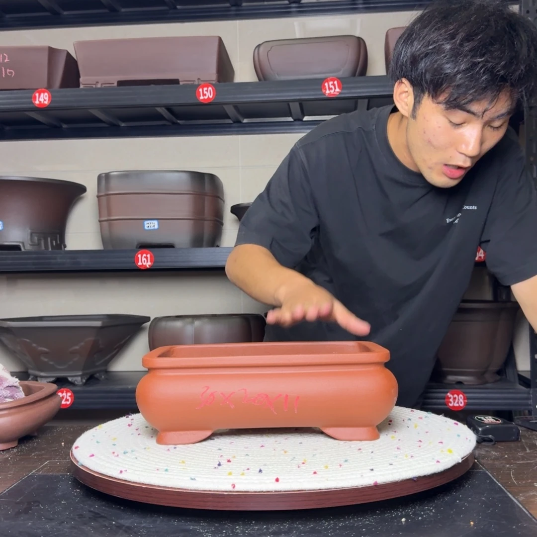 紫砂其他呜呜呜呜