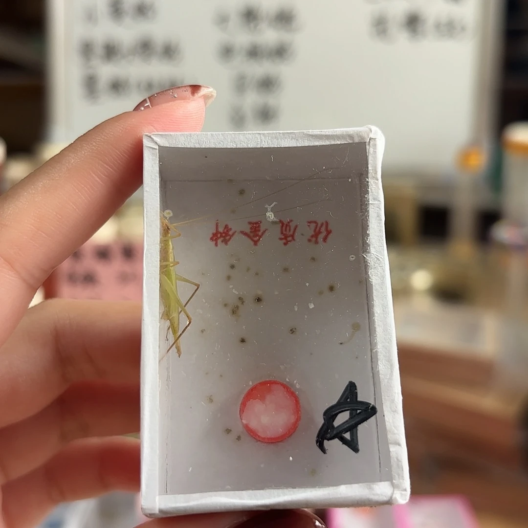 精品柬埔寨不包断须尾