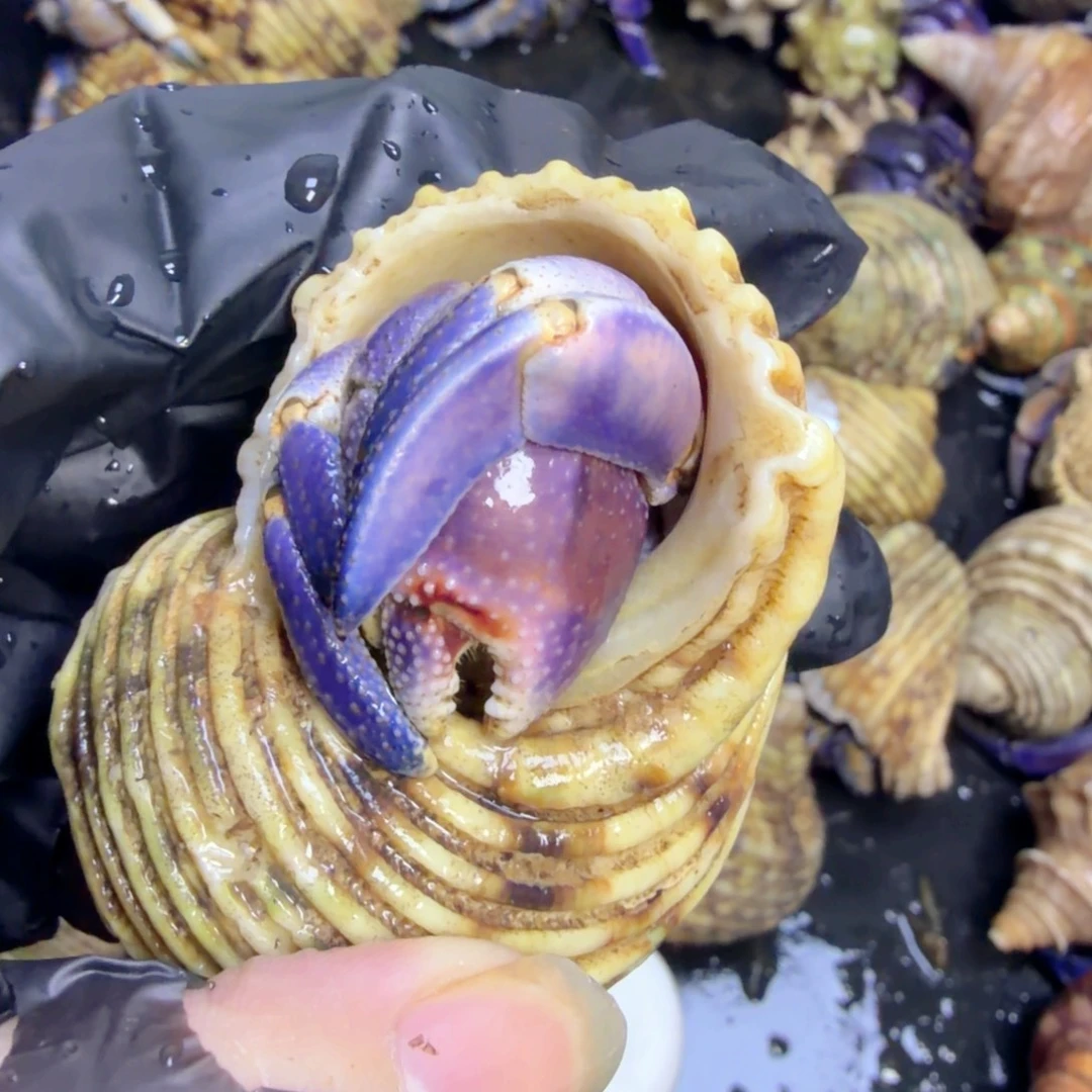 198不知道怎么说出口呢哈哈喜欢这种小表情