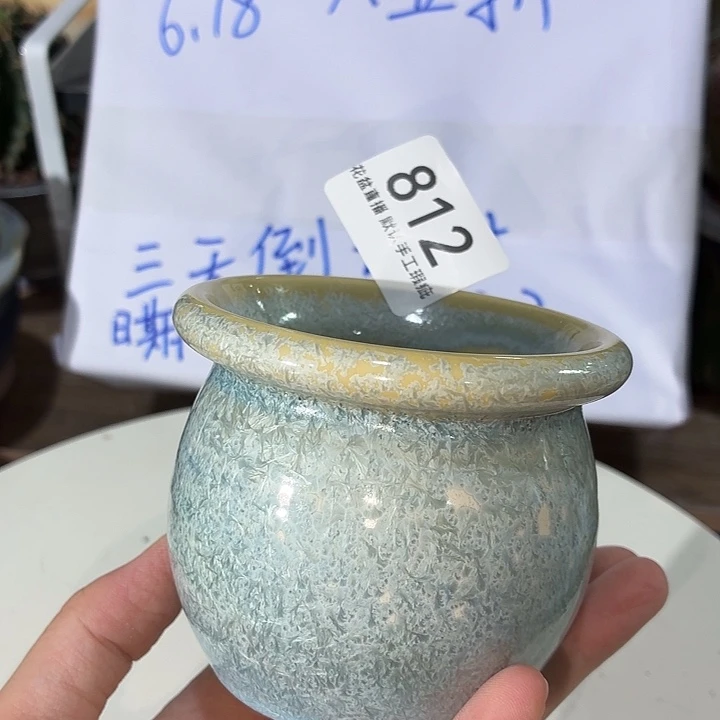 炫彩花盆，八五折后价