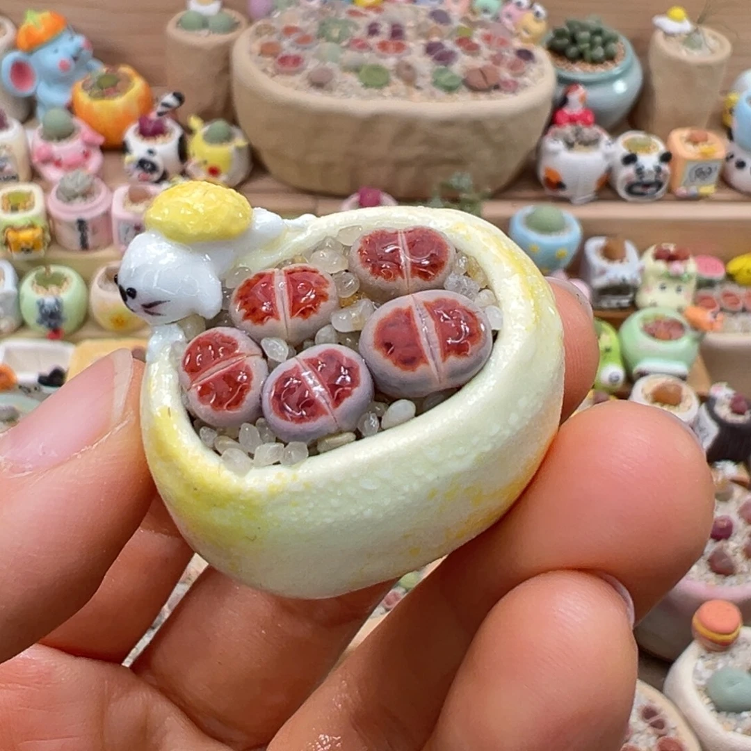 多肉植物58号红色