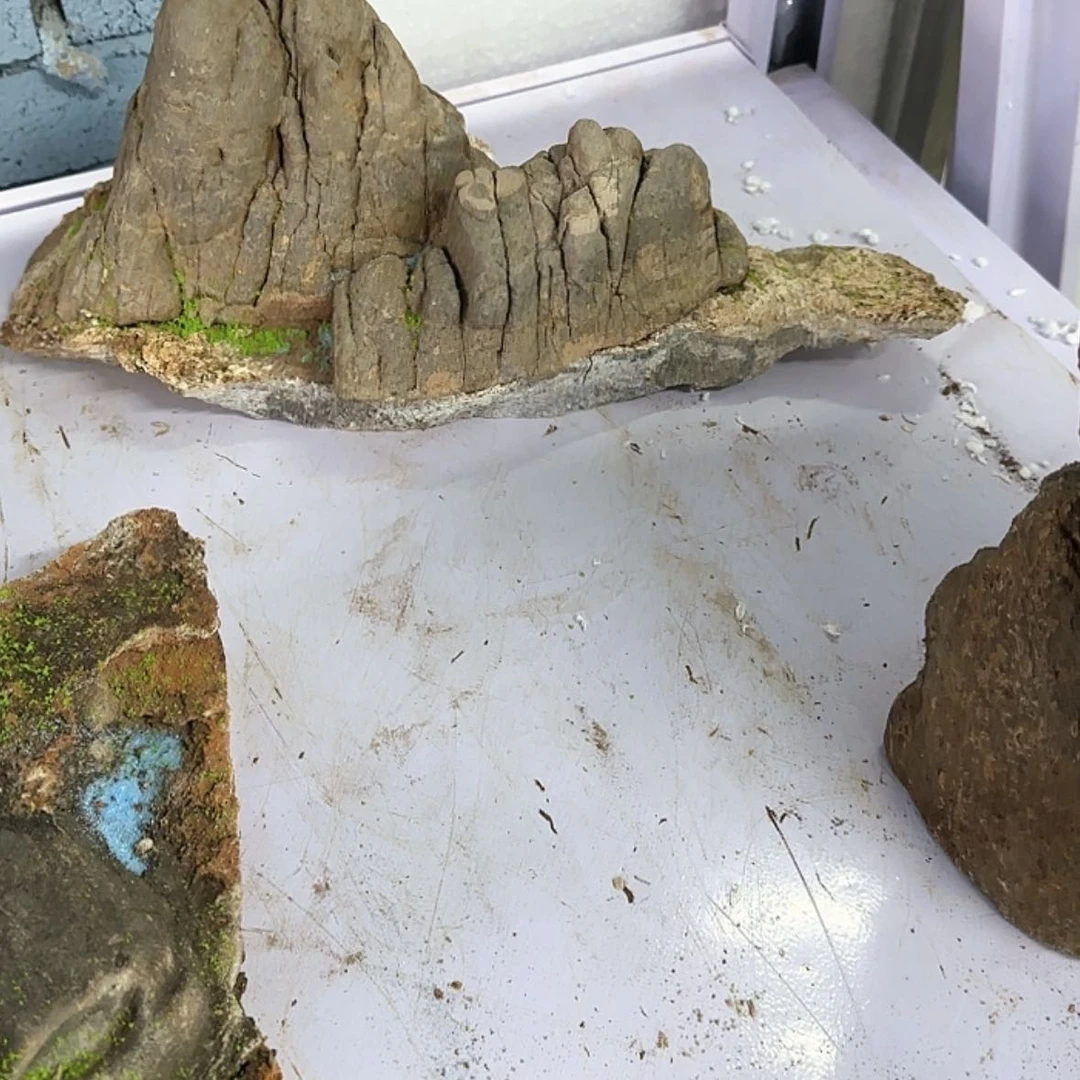 【闪购商品】香榧木雁*巢出汗的时候也会想起以前在