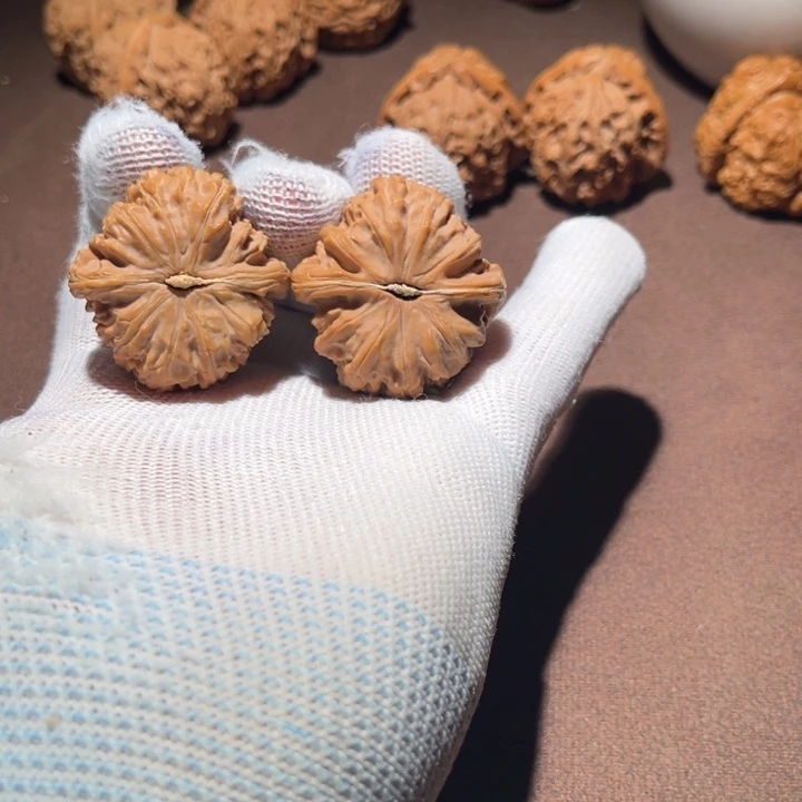 ****✘精品白狮子三角白