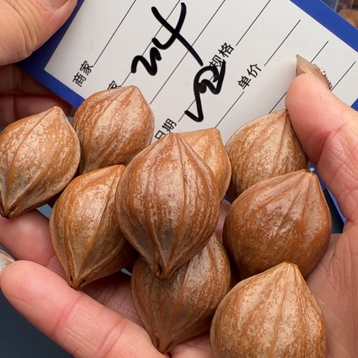 一***步橄榄核手串橄榄核