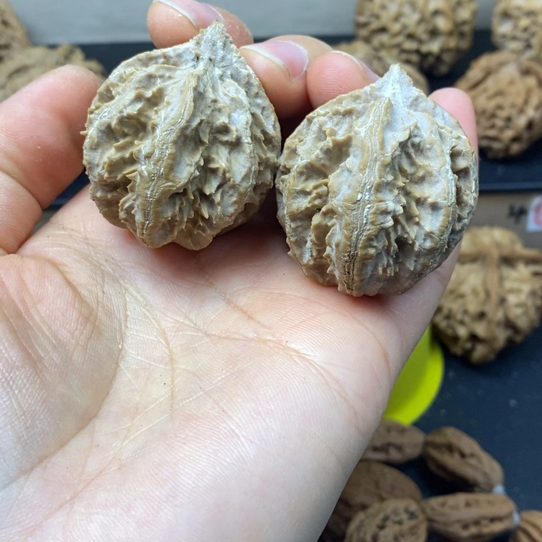 桃核吊坠秦岭霸王龙3438