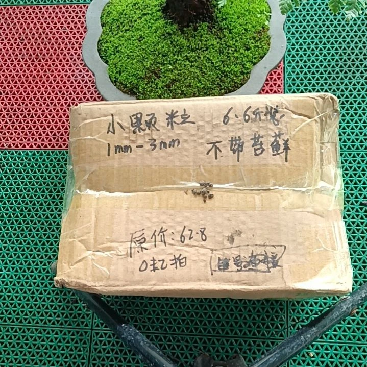 （***风兰菌颗粒   小颗粒6.6斤